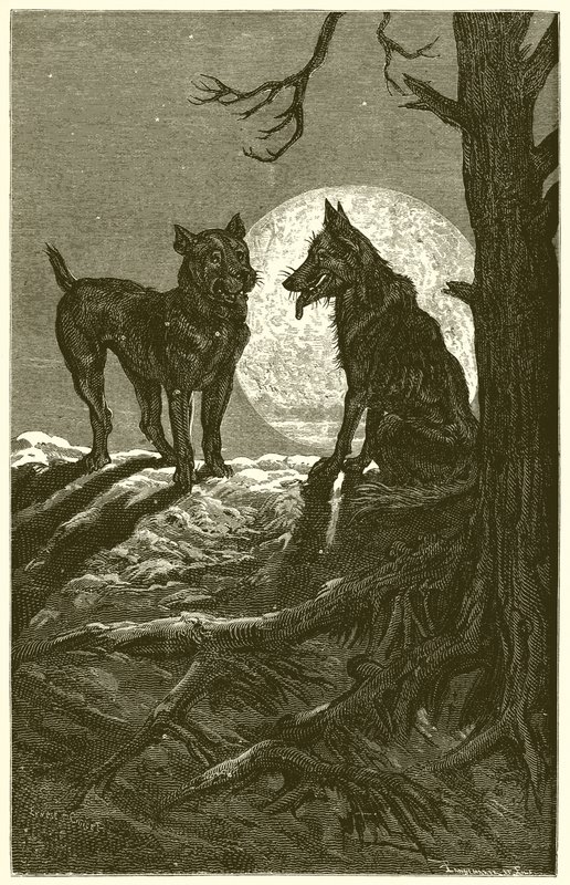 The Wolf and the Mastiff by Ernest Henry Griset