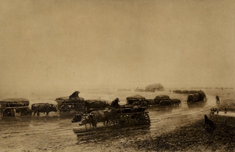 Ox Cart Track in Mariupol, 1875 by European School