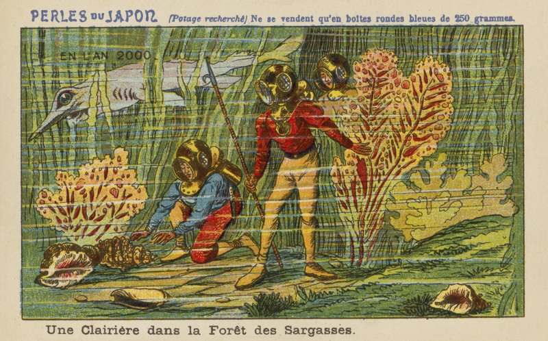 A clearing in the Sargasso Forest in the year 2000 by European School