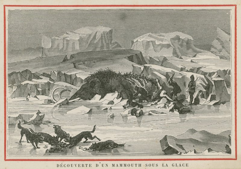 Discovery of a woolly mammoth beneath the ice by European School