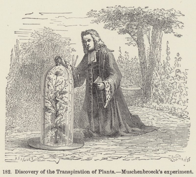 Discovery of the Transpiration of Plants, Muschenbroeck