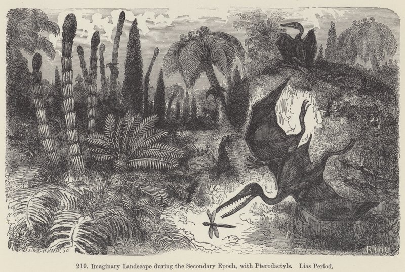 Imaginary Landscape during the Secondary Epoch, with Pterodactyls, Lias Period by European School