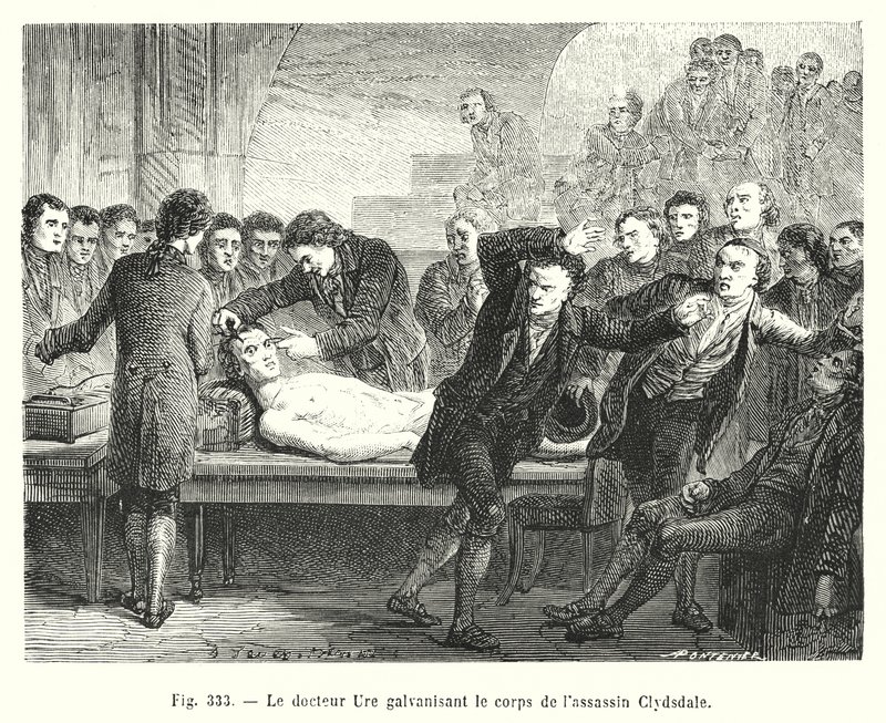Dr. Ure Galvanizing the Body of the Assassin Clydsdale (engraving) by European School