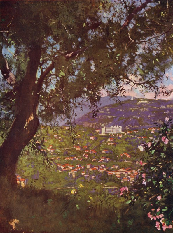 Nice, Cimiez and the Observatory from the Chateau by European School
