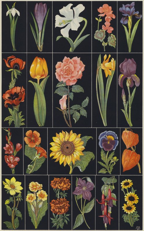 Page from Children
