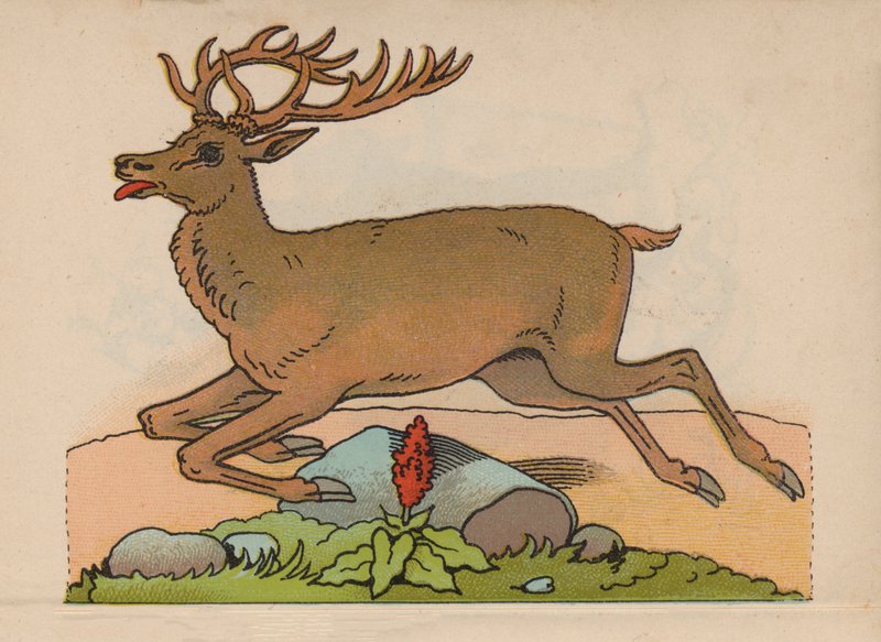 Page from the Magical Book by European School