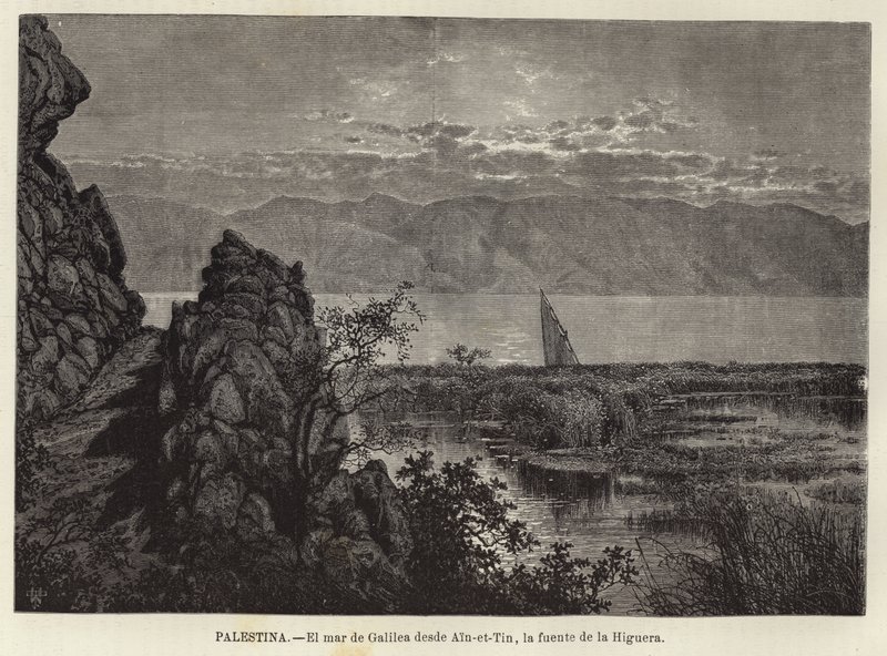 Palestine, The Sea of Galilee from Ain-et-Tin, the Fig Tree Spring by European School