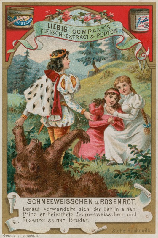 The Bear Turns into a Prince by European School