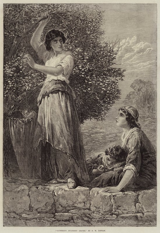 Gathering Mulberry Leaves by Francis William Topham