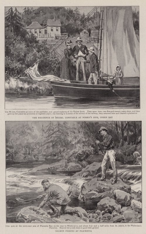 Farming and Sport in Newfoundland by Frank Dadd