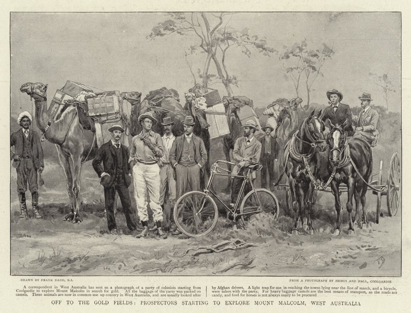 Off to the Gold Fields, prospectors starting to explore Mount Malcolm, West Australia by Frank Dadd