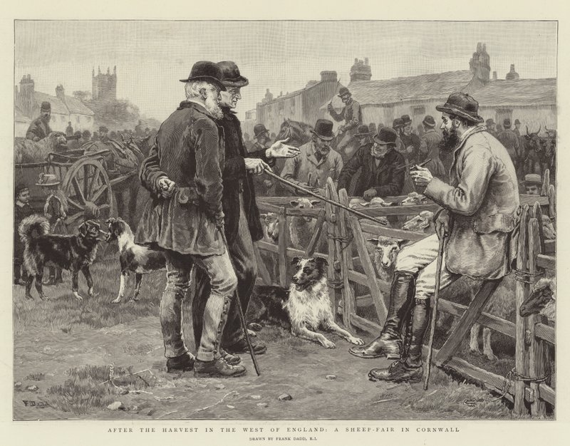 After the Harvest in the West of England, a Sheep-Fair in Cornwall by Frank Dadd