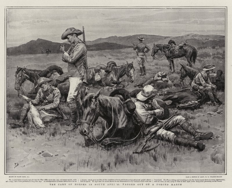 The Care of Horses in South Africa, fagged out on a Forced March by Frank Dadd