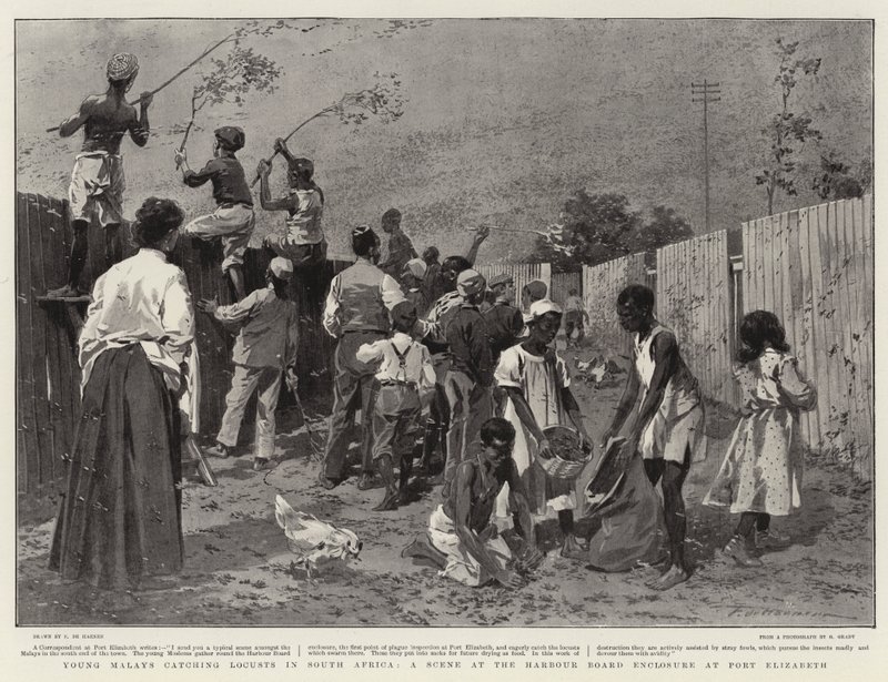 Young Malays Catching Locusts in South Africa, a Scene at the Harbour Board Enclosure at Port Elizabeth by Frederic de Haenen