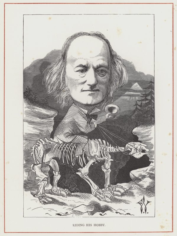 Professor Richard Owen by Frederick Waddy