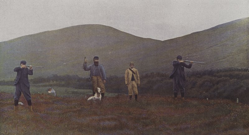 Grouse shooting in Scotland by French Photographer