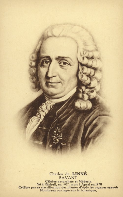 Carl Linnaeus (1707-1778) by French School