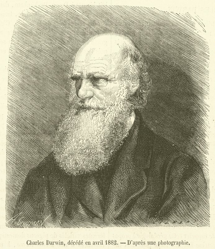 Charles Darwin, Deceased in April 1882 by French School