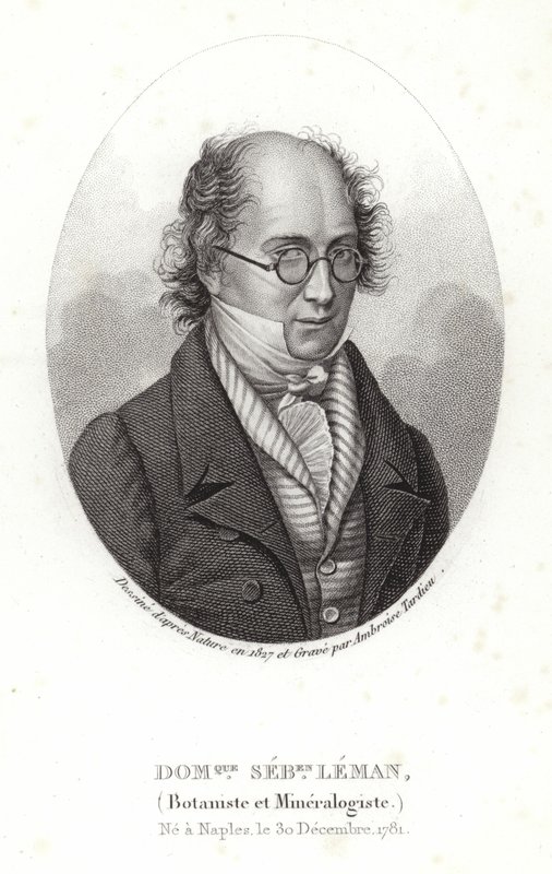 Dominique Sebastion Leman by French School