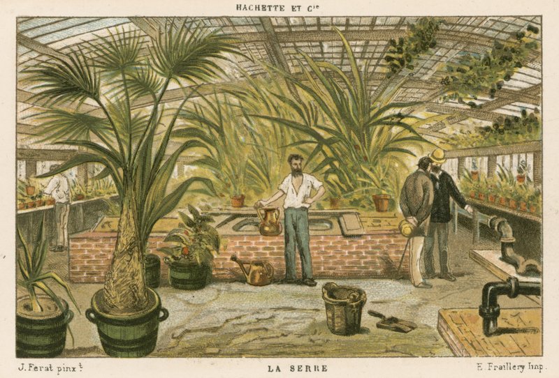 Greenhouse by French School
