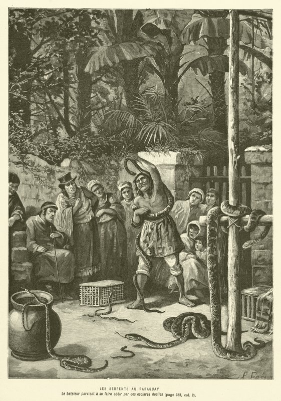 The Serpents in Paraguay (engraving) by French School