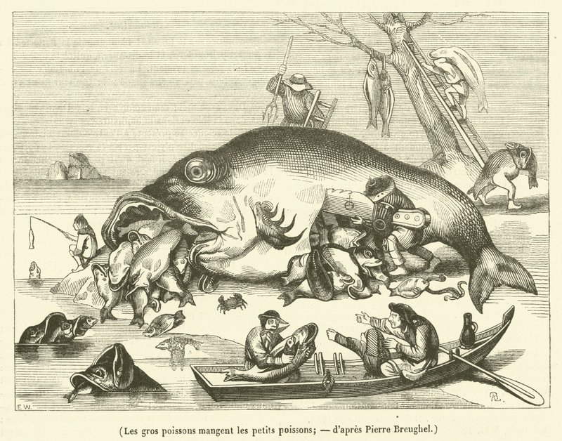 Big Fish Eat Little Fish by French School