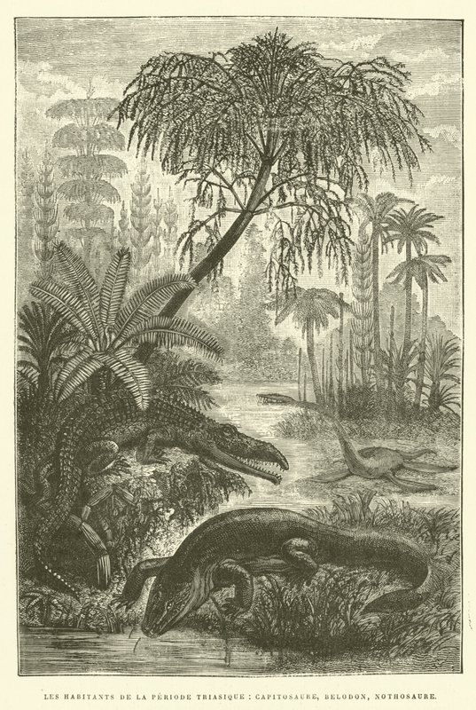 Inhabitants of the Triassic Period, Capitosaurs, Belodon, Nothosaurus by French School