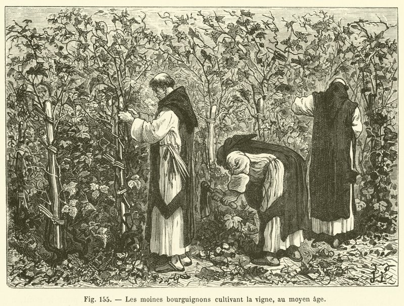 Burgundian Monks Cultivating the Vine in the Middle Ages by French School
