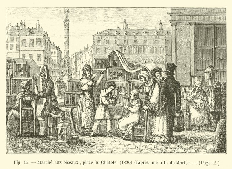 Bird market, Place du Chatelet, 1820, after a lithograph by Marlet by French School
