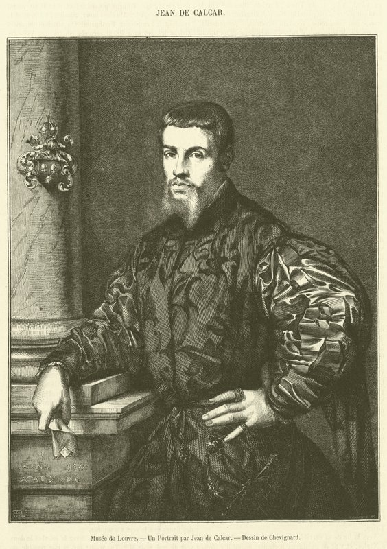Louvre Museum, A Portrait by Jean de Calcar (engraving) by French School