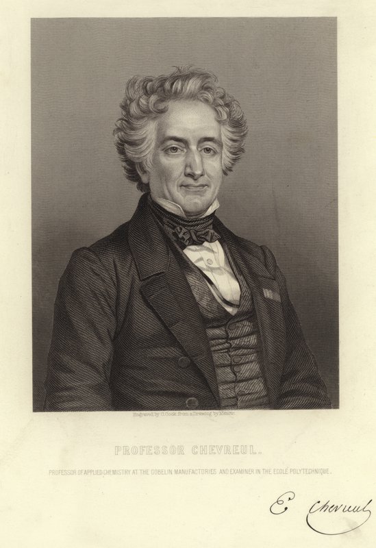 Professor Chevreul by French School