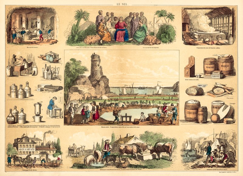 Salt (engraving) by French School