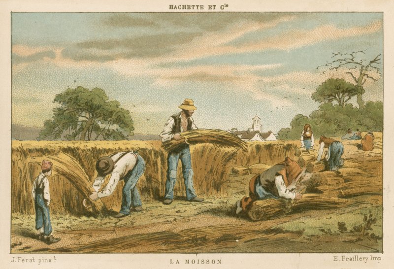 The Harvest by French School