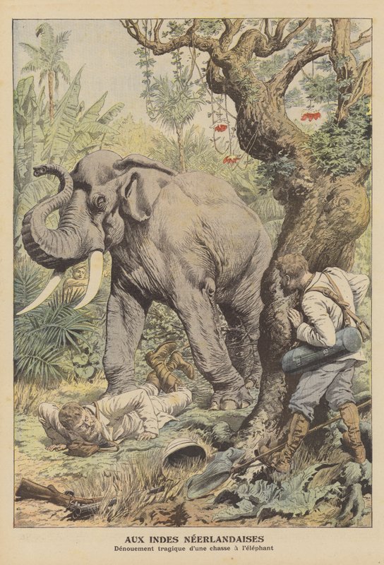 Tragic ending to an elephant hunt in the Dutch East Indies by French School