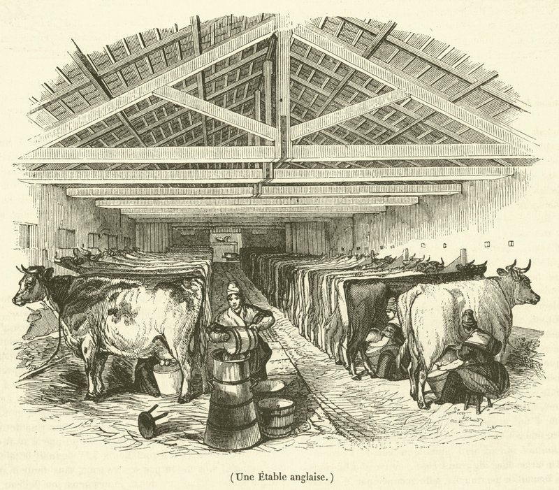 An English Stable by French School