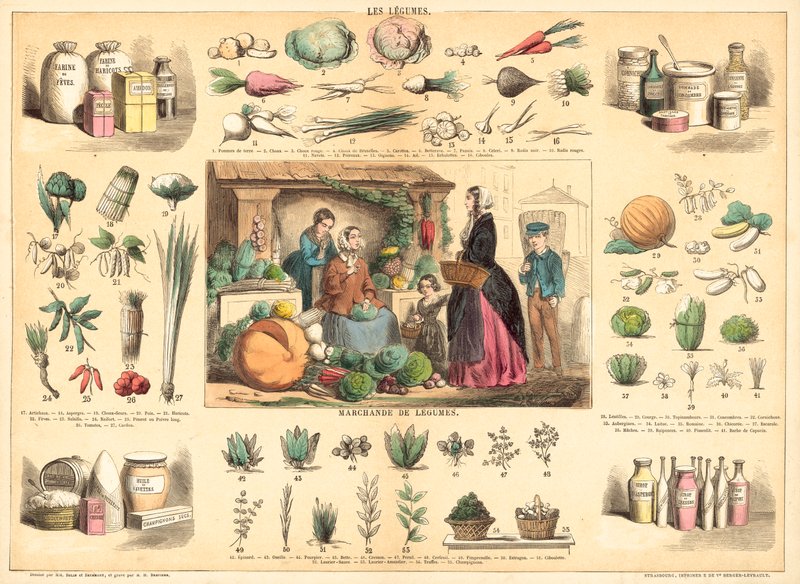 Vegetables by French School
