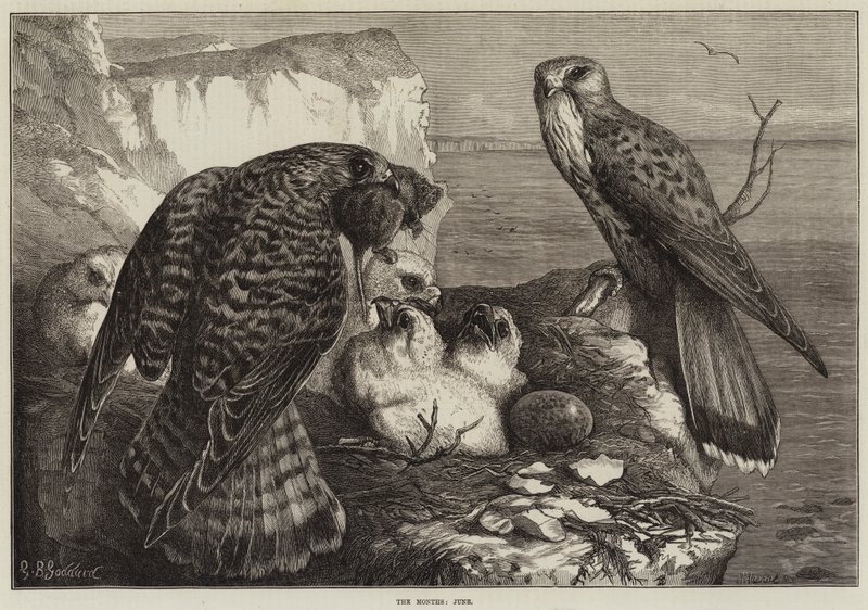 The Months, June by George Bouverie Goddard