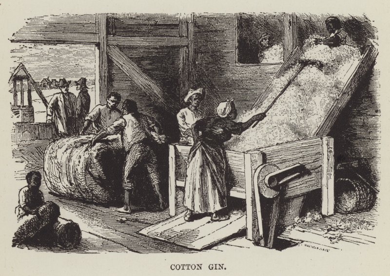 Cotton Gin by George Augustus Sala