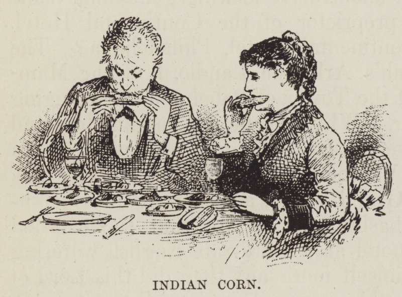Indian Corn by George Augustus Sala