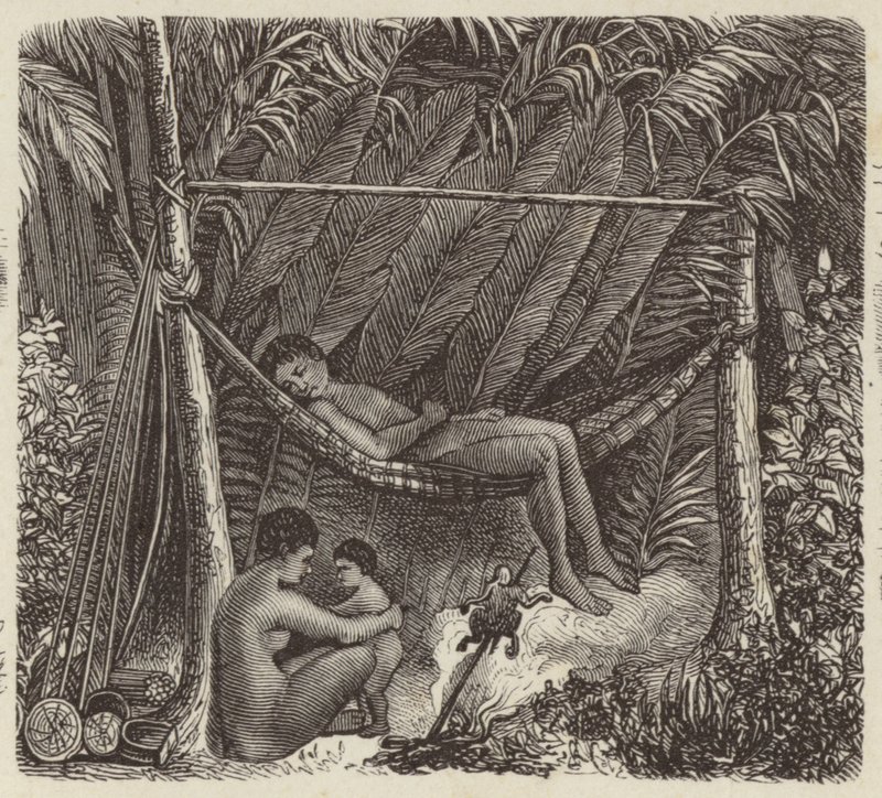 Brazilian native resting in a hammock (engraving) by German School