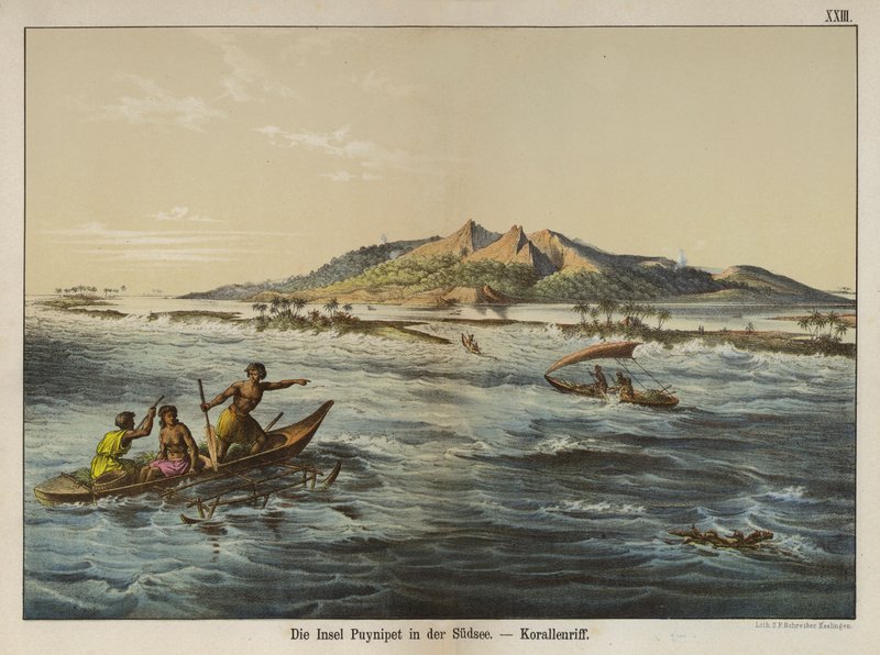 Coral reef off Puynipet island (Pohnpei), Caroline Islands by German School