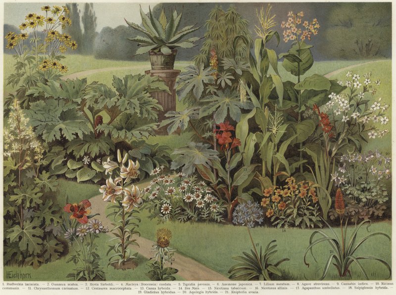 Ornamental plants by German School