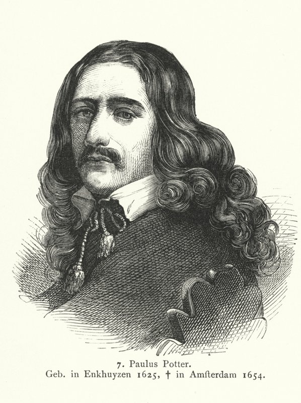 Paulus Potter, painter of the Dutch Golden Age by German School