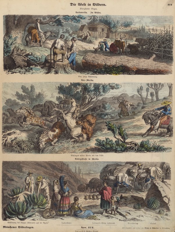 The American West: A New Settlement; Lassoing Wild Horses in New Mexico; A Mountain Road in Mexico (Coloured Engraving) by German School
