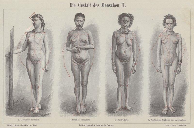 The human figure by German School