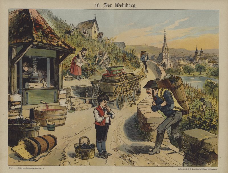 Wine by German School