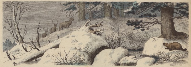 Winter Landscape in Canada by German School