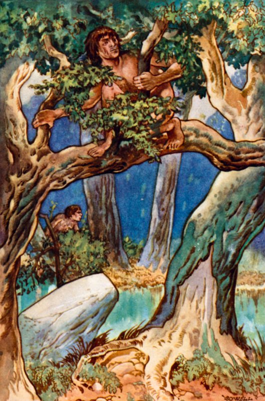 Long, Long, Long Ago Man in the Forest and Swamp by Gertrude Hamilton