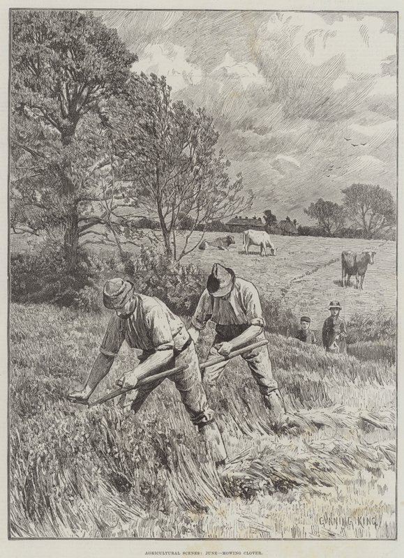 Agricultural Scenes, June, mowing Clover by Gunning King
