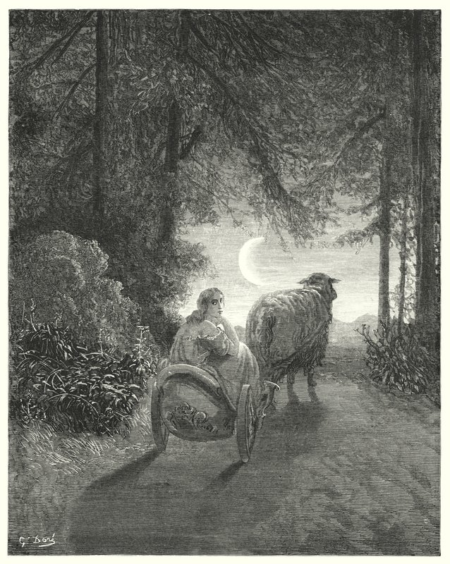 Donkey Skin (engraving) by Gustave Dore